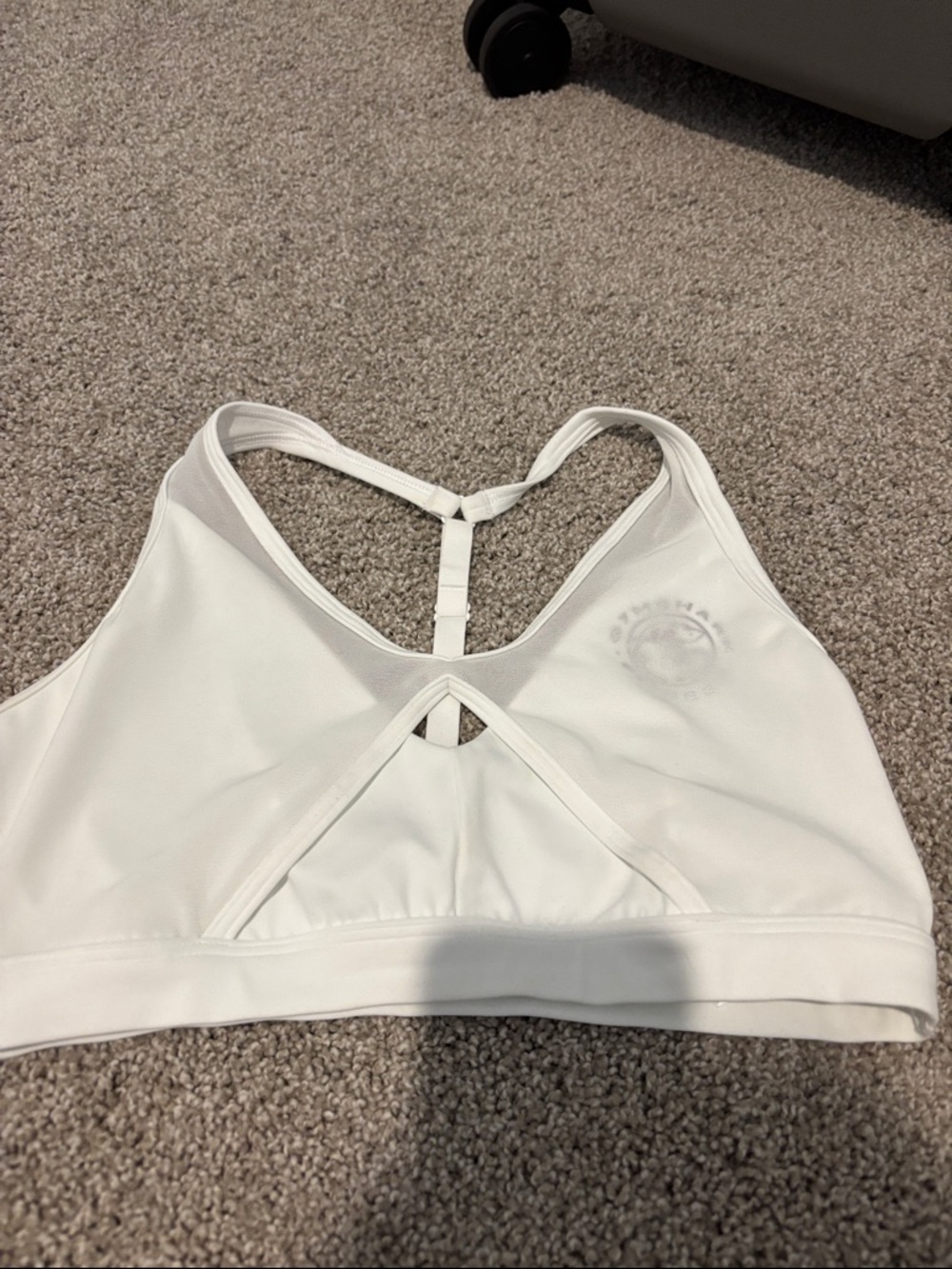 Gym shark bra
